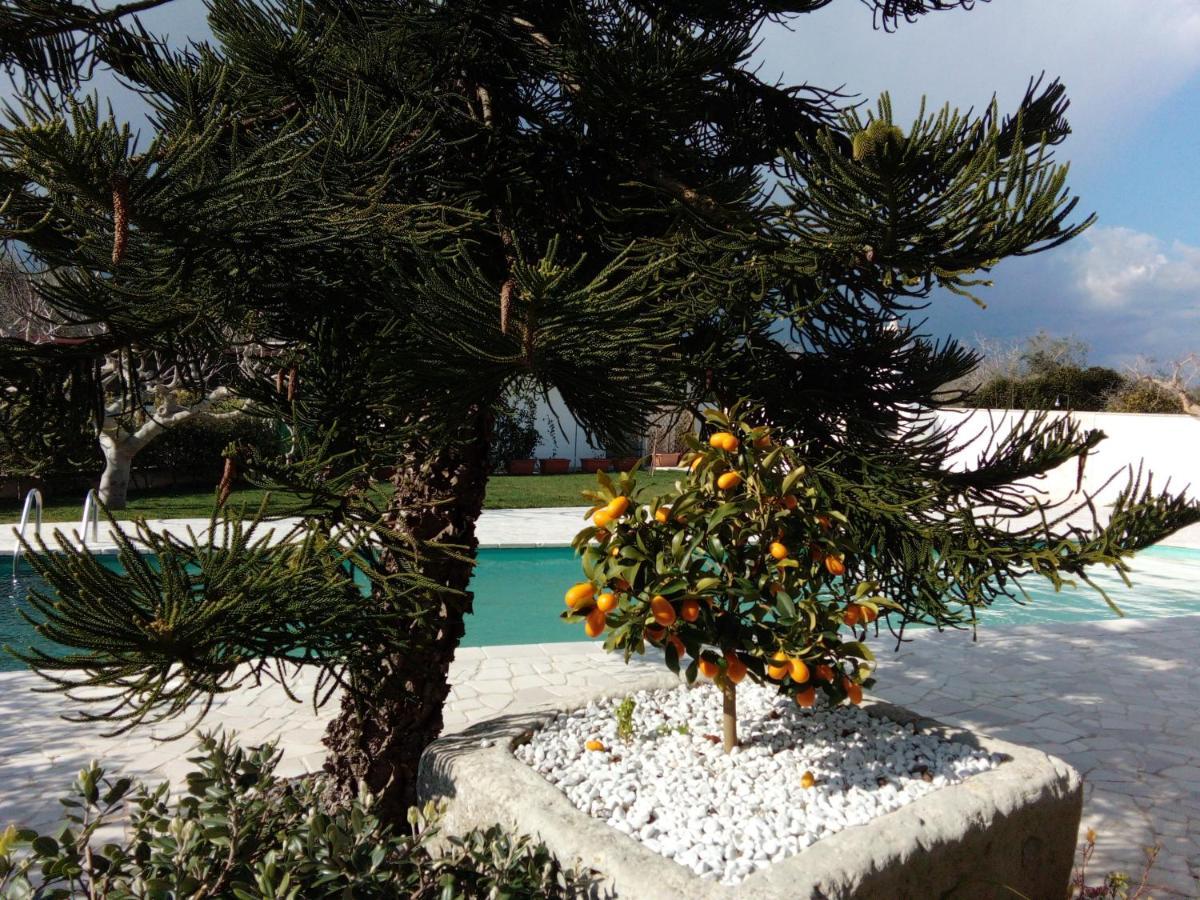 Casa Vacanza Augusto Uggiano La Chiesa Ngoại thất bức ảnh